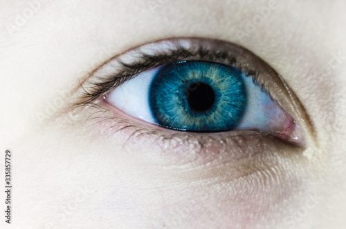 close up of human blue eye