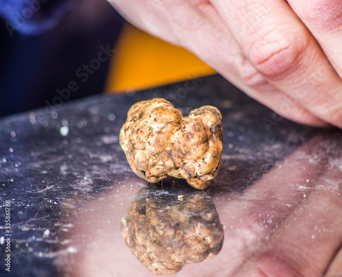 black and white truffles to embellish your dishes