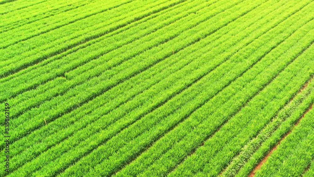 Aerial farmland Aerial farmland