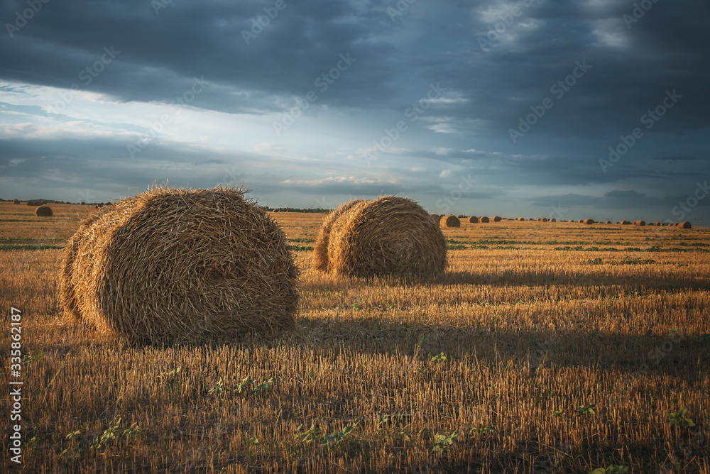 Field after harvest in the fall. Haystack against the sky