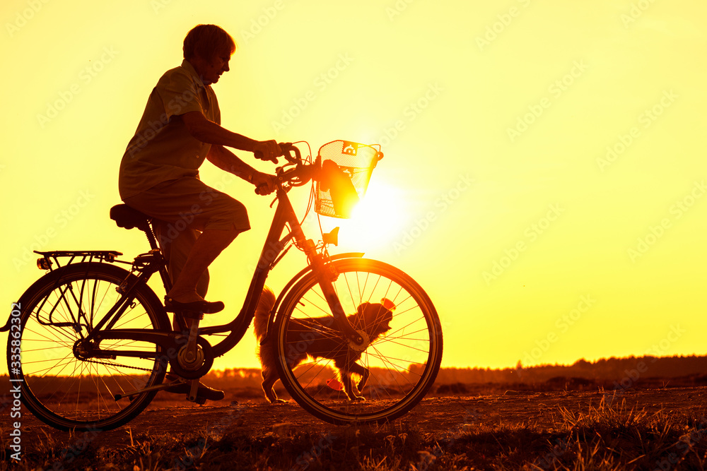 Fototapeta premium Senior woman riding bike and dog running in front, silhouette of riding person at sunset with pet 