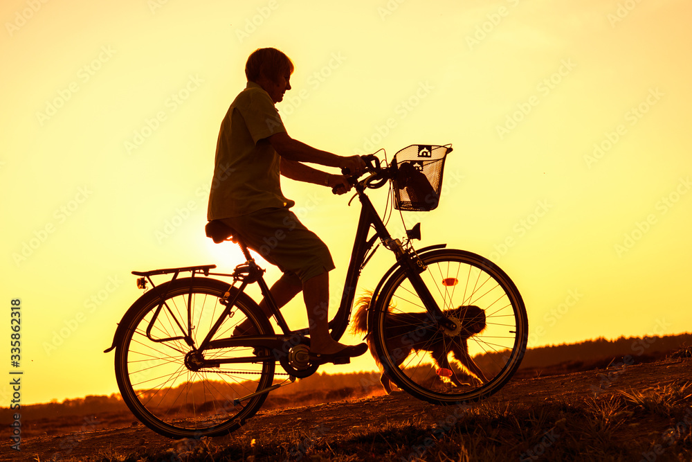 Obraz premium Senior woman riding bike and dog running in front, silhouette of riding person at sunset with pet 