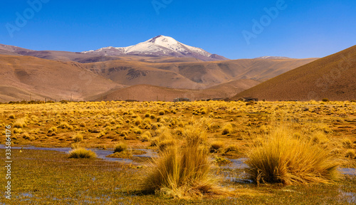 Altiplano andine photo