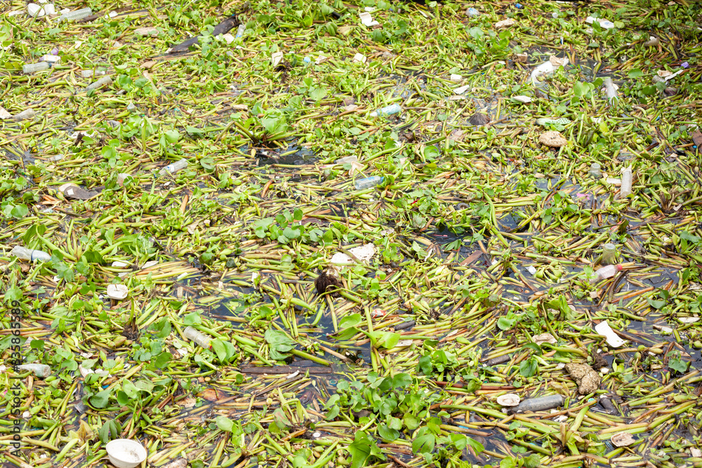 Obraz premium polluted river