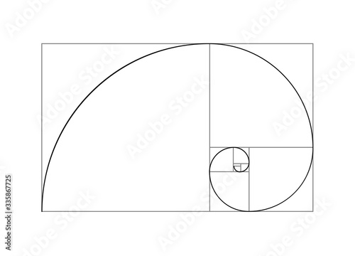 Golden ratio vector proportion spiral section. Fibonacci golden ratio geometry