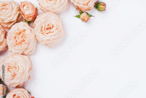 Spring background. Rose flowers on a white background. Flat lay. Copy space for your text.