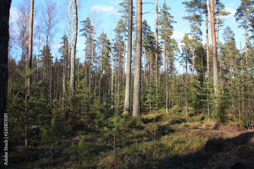 Finnish nature
