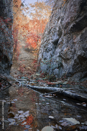 detail of nerei gorge
