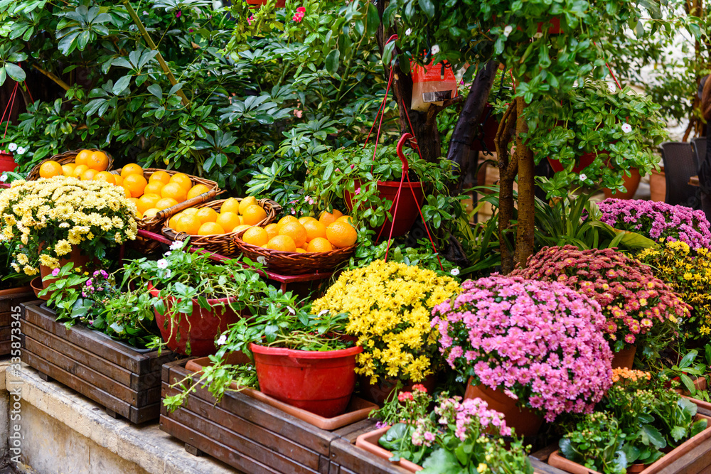 Colourful flowers and baskets of oranges in a garden. Colourful flowers and baskets of oranges in a garden.