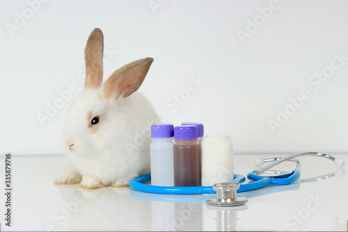 A cute white rabbit with long brown ears on white background, adorable bunny with doctor's stethoscope and medicine, veterinary, medical equipment and pat concept