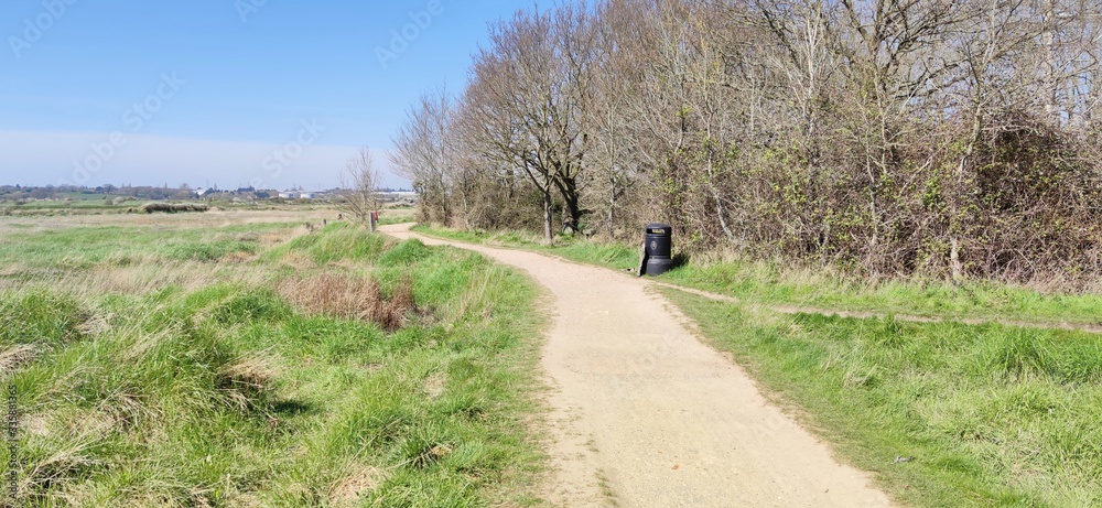 walking in the park
