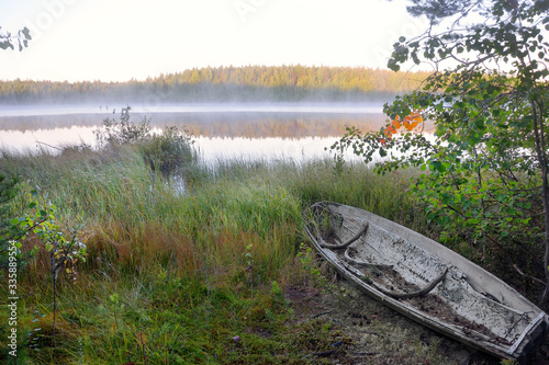 Pine forests on the shore of a taiga lake. Early autumn, the sun and ringing silence.