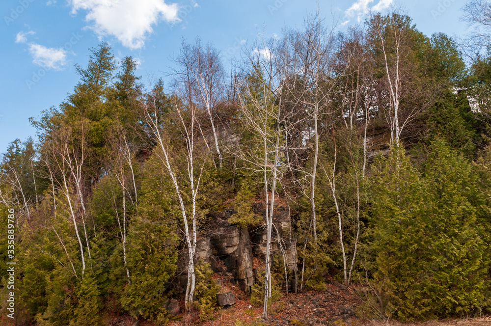 Niagara Escarpment High Bluffs and Cedars Bay Shore Park. Niagara Escarpment High Bluffs and Cedars Bay Shore Park.