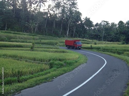 Camion rojo entre selva de palmeras. Paisaje entre colinas en bosque verde. Indonesia, Bali.