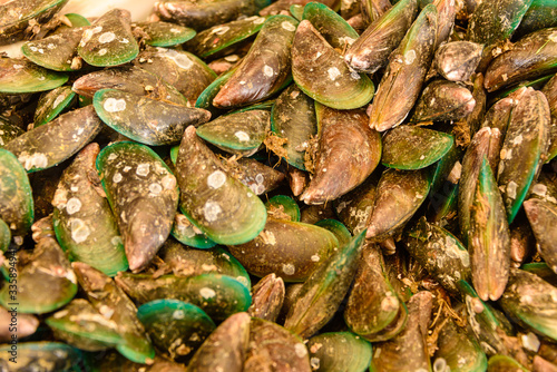 Green-lipped Mussels on sale in the traditional Mae Somchit Kata Fresh Market, Kata, Phuket, Thailand
