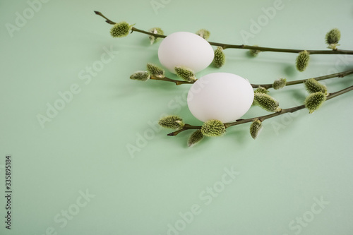 Natural white eggs and willow branches on a green background close-up. Easter concept. Copy space for text.
