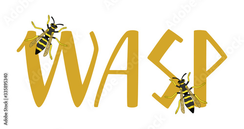 Wasp lettering with two little wasps decoration isolated illustration