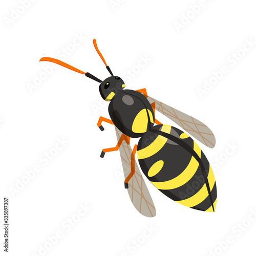Wasp isometric icon. Vector illustration for your design. Isolate on a white background.