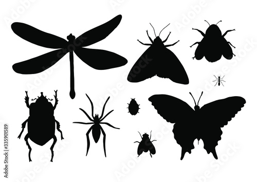Vector set bundle of black sketch insects silhouette isolated on white background © Sweta