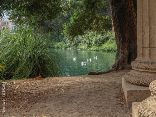Quiet outdoors outside of San Francisco, CA, USA
