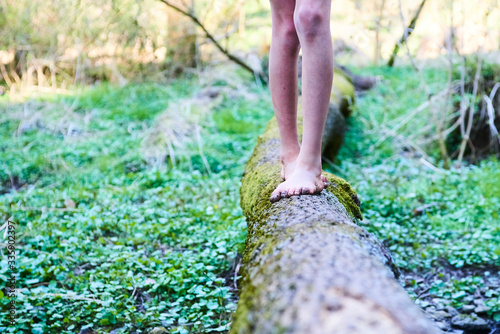 Child girl feet walking on tree trunk. Selective focus © Petr Bonek