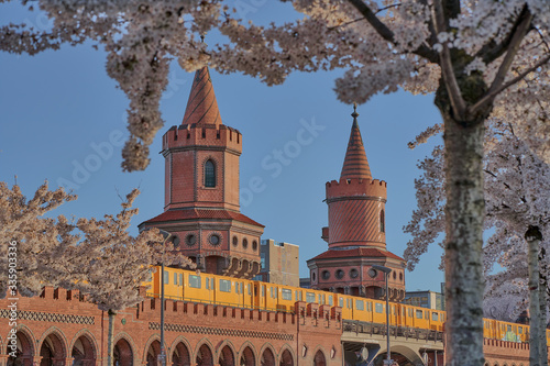 Berlin Spring. Oberbaum bridge and a yellow subway at the Warsaw Street in Berlin's city centre behind white and pink blossoming cherry trees, sunny day with beautiful blue sky