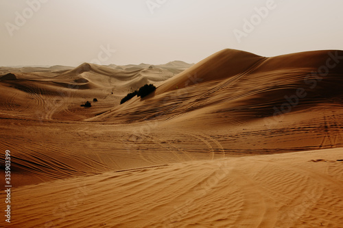 Desert Dunes of the Empty Quarter in the UAE Dubai