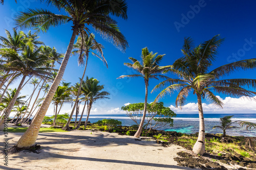 Fototapeta Naklejka Na Ścianę i Meble -  Tropical beach on south side of Samoa Island with coconut palm trees