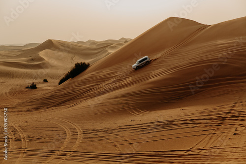 Desert safari in Dubai, United Arab Emirates