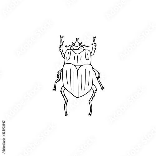 Vector hand drawn doodle sketch bug beetle isolated on white background