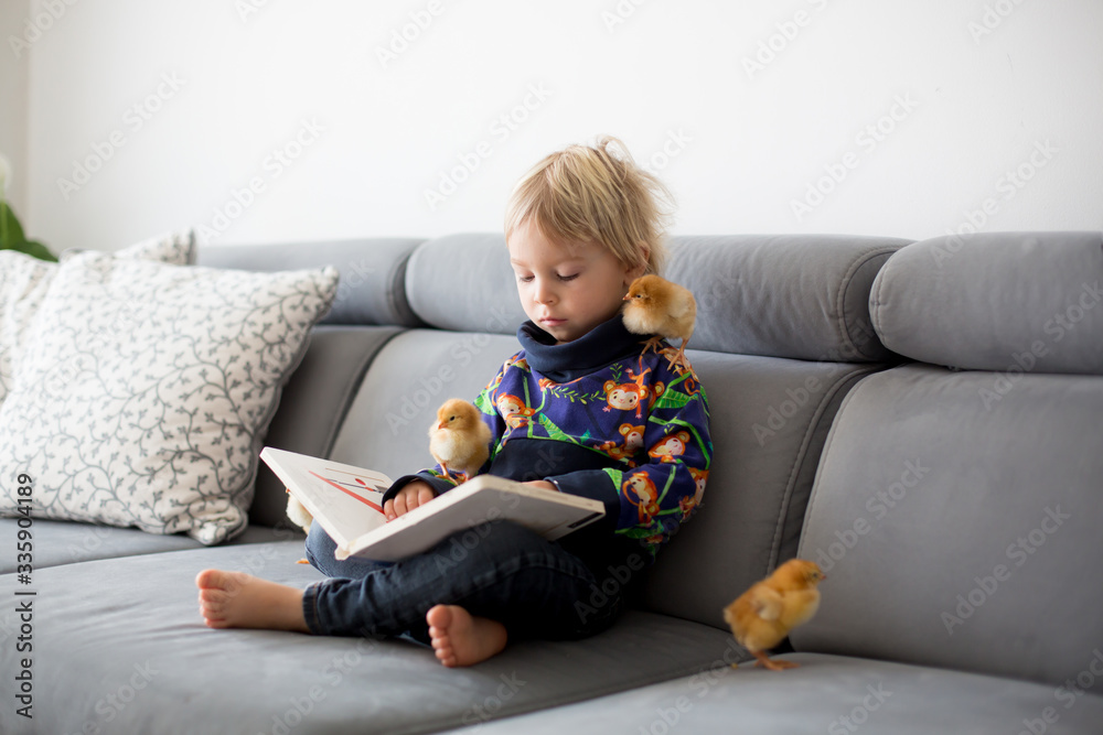 Little toddler child, blond boy, reading book with sweet chicks Little toddler child, blond boy, reading book with sweet chicks