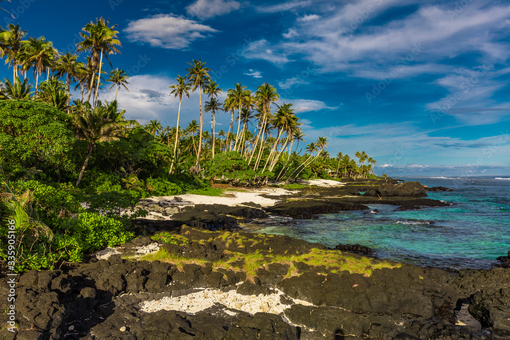 Obraz premium Tropical beach on south side of Samoa Island with coconut palm trees