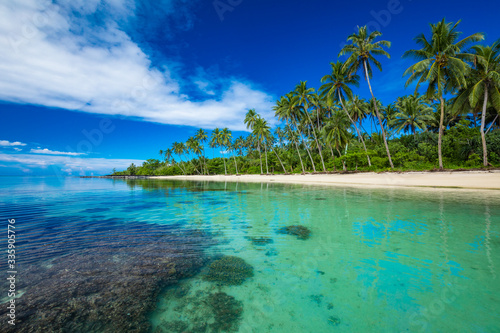 Tropical beach on south side of Samoa Island with coconut palm trees © Martin Valigursky