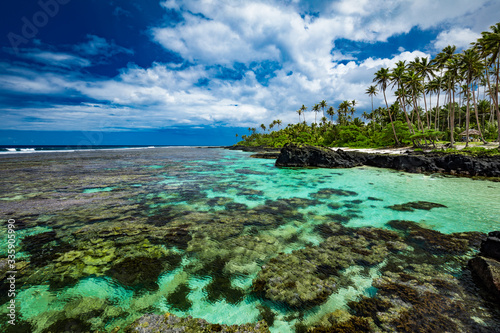 Vibrant tropical beach with palm trees, Upolu, Samoa © Martin Valigursky