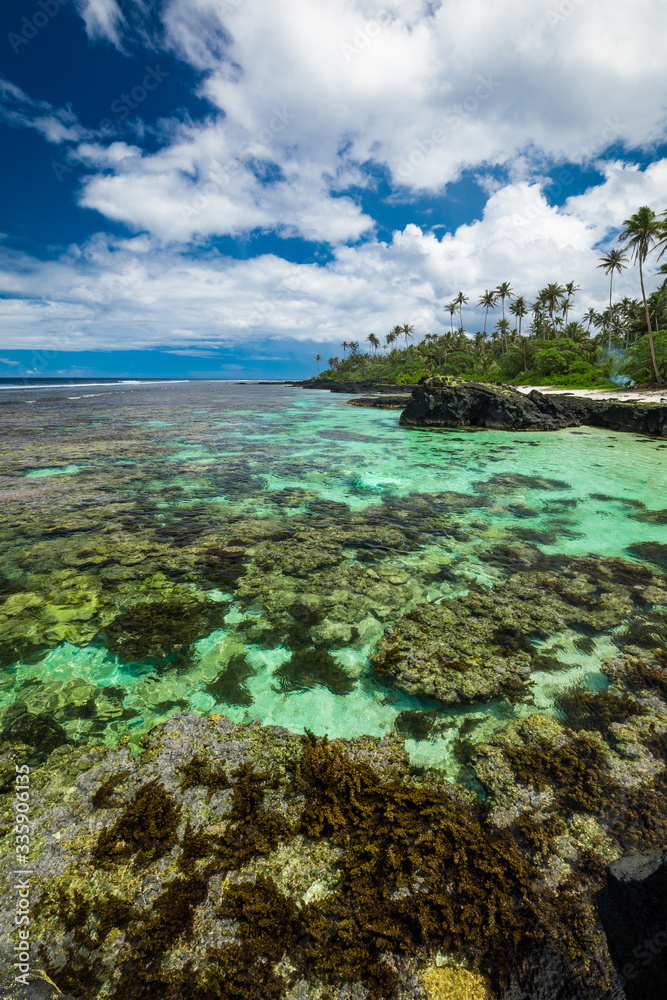 Fototapeta premium Tropical beach on south side of Samoa Island with coconut palm trees