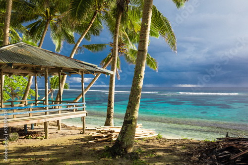 Vibrant tropical beach with palm trees  Upolu  Samoa
