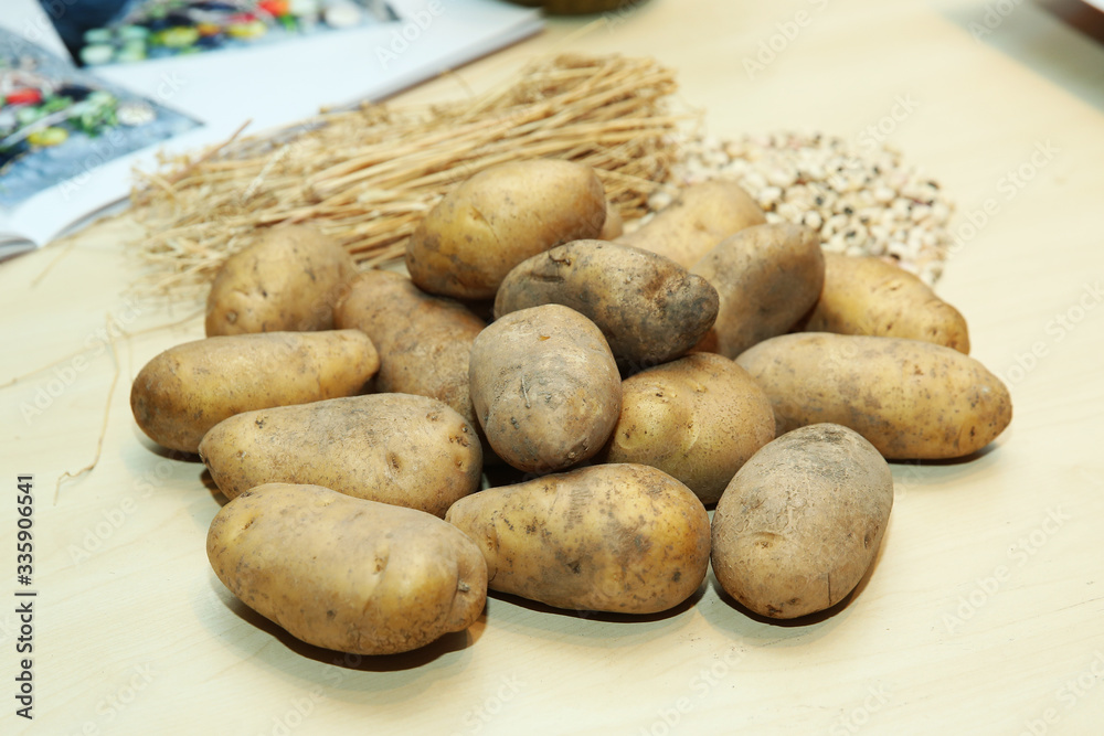 Bunch of potatoes on wooden background close up shoot . Fresh potatoes in an old sack on wooden background. Free place for text. Top view . potatoes on an old wooden table . Bunch of potatoes on wooden background close up shoot . Fresh potatoes in an old sack on wooden background. Free place for text. Top view . potatoes on an old wooden table .