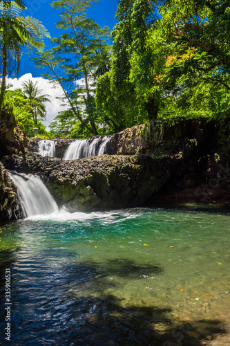 Fototapeta Naklejka Na Ścianę i Meble -  Vibrant Togitogiga falls with swimming hole on Upolu, Samoa Islands