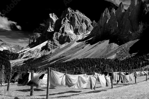 Fotografie panni al sole