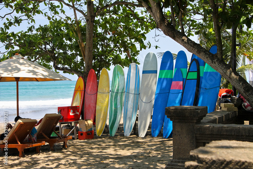 A lot of colorful surf boards standing on the beach in the sand. They are in the shade under the trees. They can be rented to ride the waves. Active spending of free time.