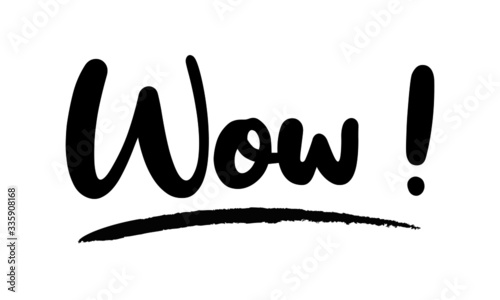 Wow - inspirational quote, typography art with brush texture. Black vector phase isolated on white 
background. Lettering for posters, cards design, T-Shirts.