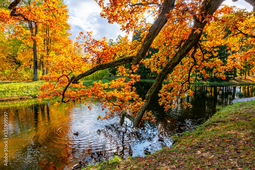 Catherine park in autumn, Pushkin (Tsarskoe Selo), St. Petersburg, Russia