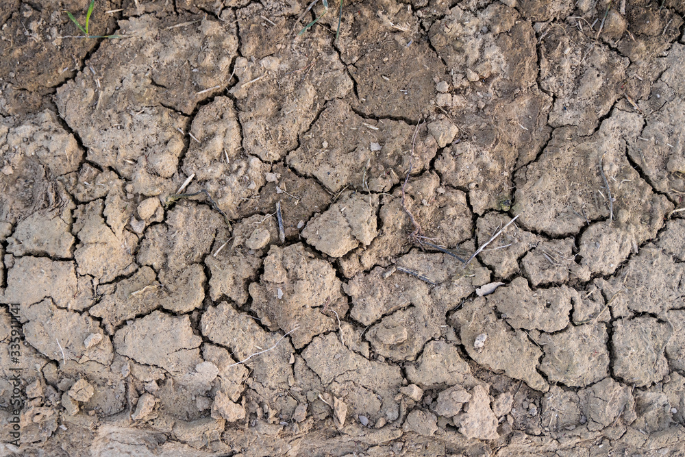 Cracked earth, cracked soil. Texture of grungy dry cracking parched earth. Global warming effect. Cracked earth, cracked soil. Texture of grungy dry cracking parched earth. Global warming effect.