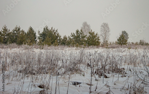 Fototapeta Naklejka Na Ścianę i Meble -  Beautiful winter landscape with lot of snow