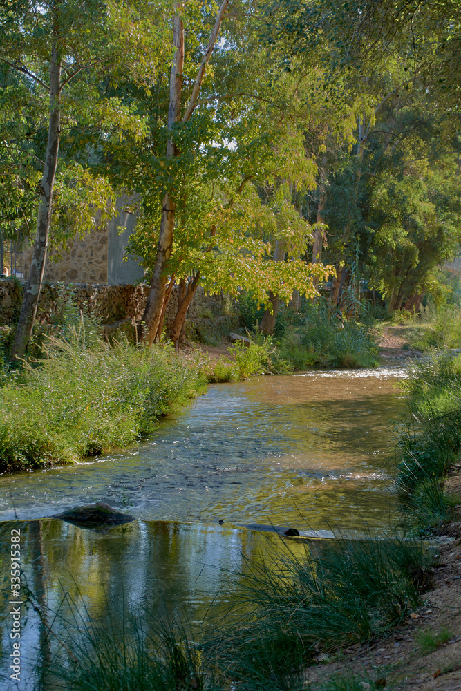 Stream with calm and transparent waters Stream with calm and transparent waters