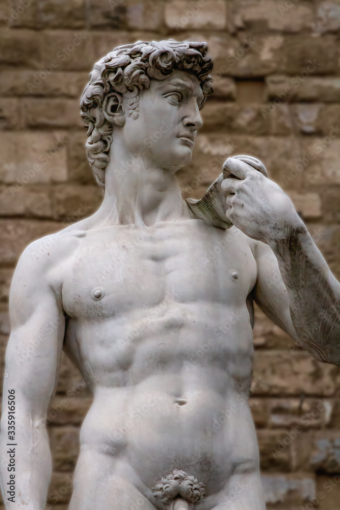 David  marble statue by Michelangelo Buonarroti, Florence, Tuscany, Italy.