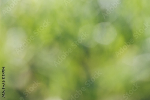 blur with bokeh nature green background