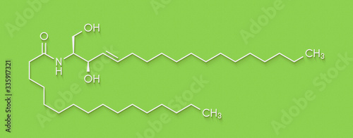 Ceramide cell membrane lipid molecule. Skeletal formula. photo