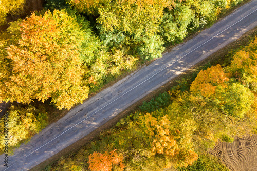 Aerial view of empty road between yellow fall trees.