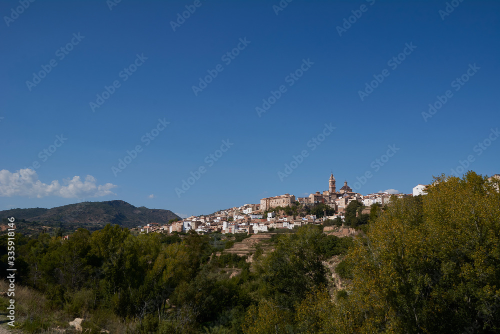 Mountain village among trees with blue sky